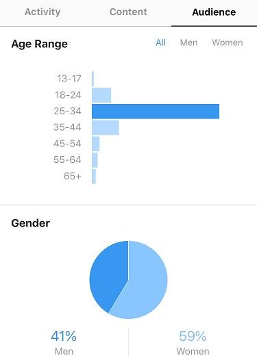 Example of audience analysis on Instagram