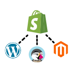 Migrating From Other Ecommerce To Shopify
