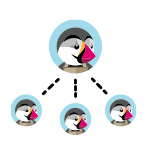 Prestashop Multi Store