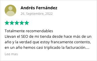 SEO Review Andrés Fernández