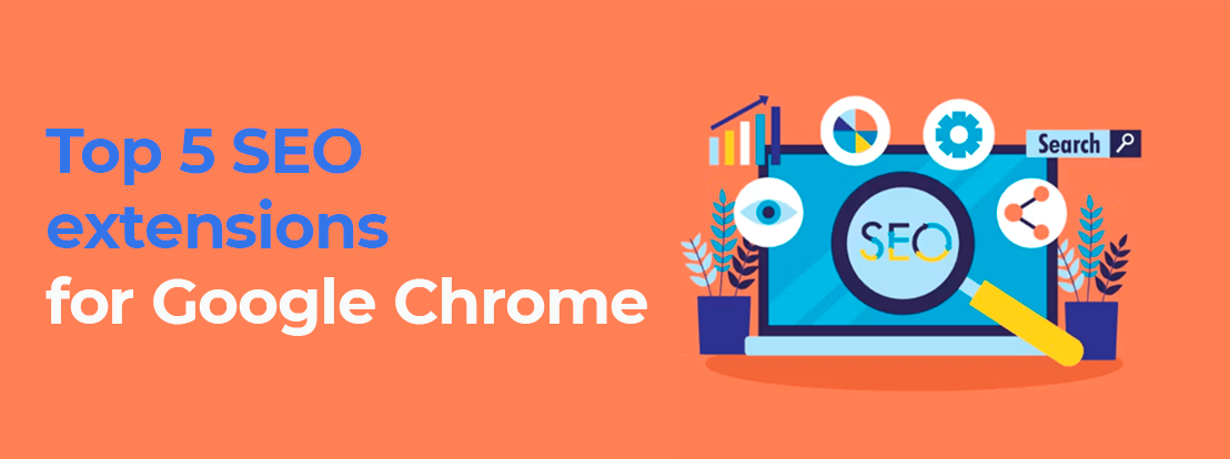 Top 5 Seo Extensions For Google Chrome